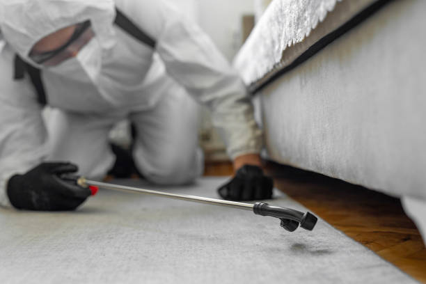 Professional Emergency Pest Control technician working in Connelly Springs, NC