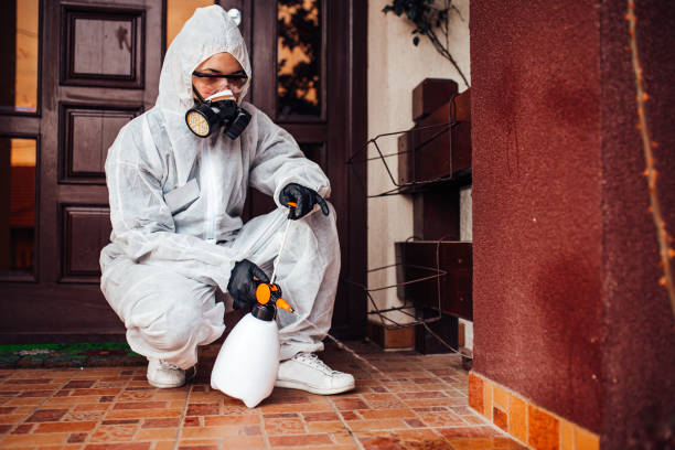 Reliable Emergency Pest Control contractor in Connelly Springs, NC by Nex Pest Control