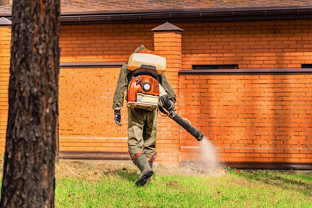 Trusted Emergency Pest Control service in Connelly Springs, NC - Nex Pest Control